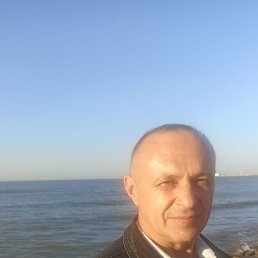 , 52, 