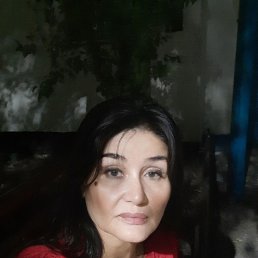 , 61, 