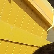 �����, 55 ���, ������