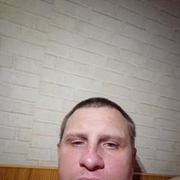 , 41, 