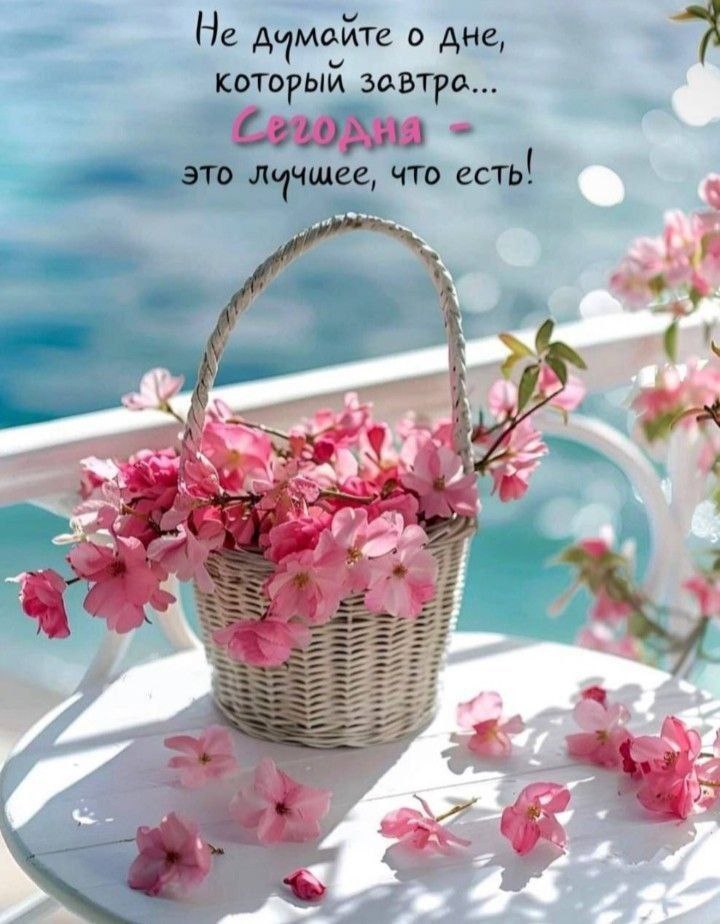   ,    . - 16  2025  16:03 - 3