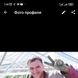 , 38, 