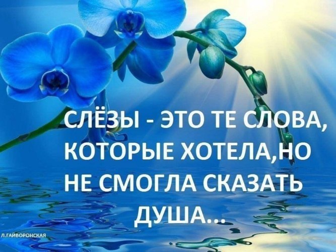   ,    . - 4  2025  21:47