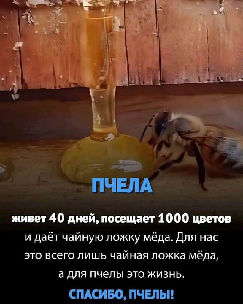   - 18  2025  11:20