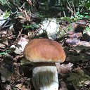 ���� ����, �����������, 67 ��� - ��������� 5 ������� 2024 � ������ ���� ����������