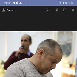 , 48, 