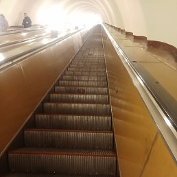 ���, �����-���������, 43 ����