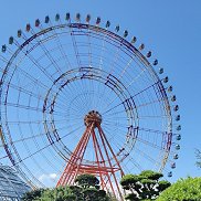 �����, 40 ���, ����