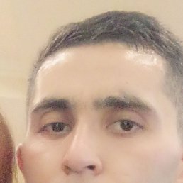 , 29, 