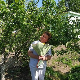 �����, �������, 54 ����