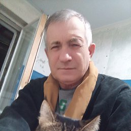 , 61, 