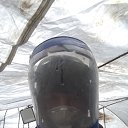 ���� ���� ������, ������, 38 ��� - ��������� 12 ����� 2024 � ������ ���� ����������