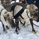 ���� ������, �����, 66 ��� - ��������� 16 ������ 2024 � ������ ���� ����������