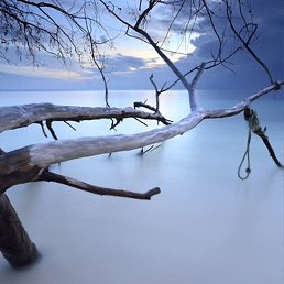 , , 34 