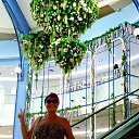 ���� �������, ���� - ��������� 29 ������� 2025 � ������ ���� ����������