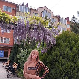 ���� �������, ���������, 48 ��� - ��������� 16 ������� 2025