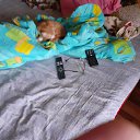 ���� �, ������, 67 ��� - ��������� 8 ������� 2024 � ������ ���� ����������