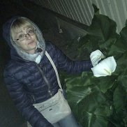 �����, 44 ����, �����