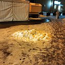 ���� ���������, �����, 57 ��� - ��������� 7 ������ 2026 � ������ ���� ����������