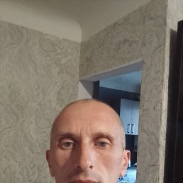 , 41, 