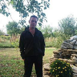 ����, 49 ���, ���������