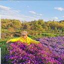  Nata, , 53  -  25  2025    