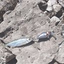 ���� ������, ������� - ��������� 24 ���� 2024 � ������ �������