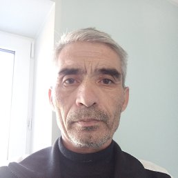 , 51,  