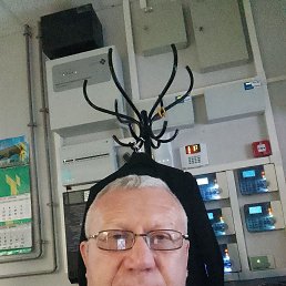, 61, 