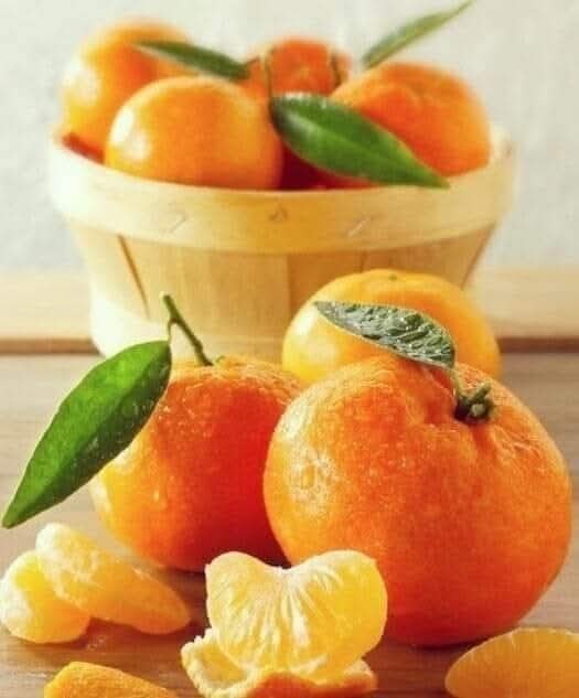 Caнтexник Ивaныч cидeл нa cвоeй зaxapaщeнной кyxнe в cвоeй xолоcтяцкой бepлогe. Пил гоpькyю. ...