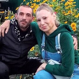 ����, 43 ����, �����������