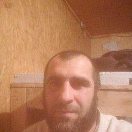 , 41, 