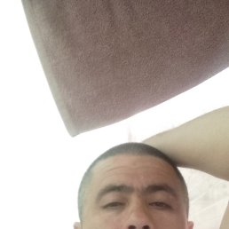 , 42 , 