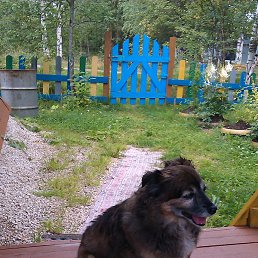 ��������, ���������, 70 ���