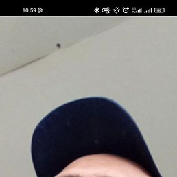 , 37, 