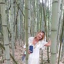 ���� �����, ������, 61 ��� - ��������� 9 ������ 2026 � ������ ���� ����������