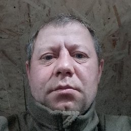 ����, �������, 41 ���