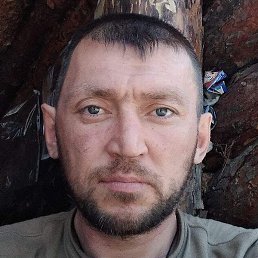 �����, �������, 44 ����