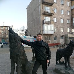 , 37, 