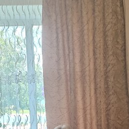 ���� ����, ������, 62 ���� - ��������� 8 ������ 2026