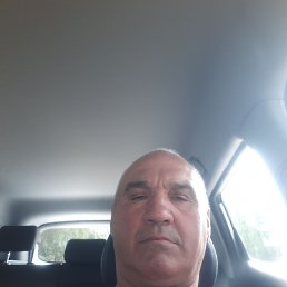 , 61, 