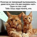 ���� �������, �����������, 60 ��� - ��������� 17 ������� 2026 � ������ ������ ��������
