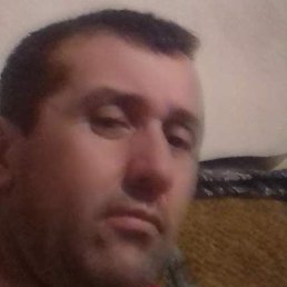 ���������, ������, 50 ���