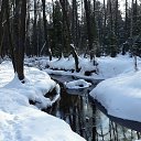 ���� ��������, ������, 51 ��� - ��������� 31 ������� 2024 � ������ ���� ����������