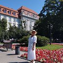  , , 65  -  31  2025