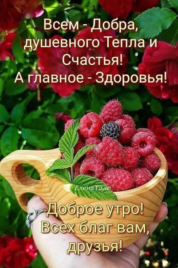   ,    . - 11  2025  23:18