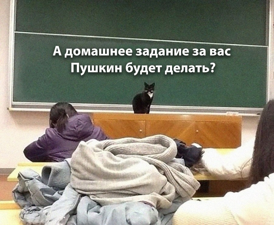    - 10  2025  04:33