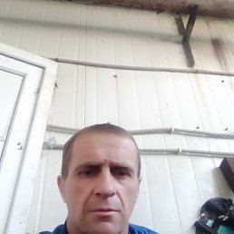 , 41 , 