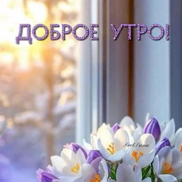 ���� �������, ����������, 64 ���� - ��������� 23 ������ 2025