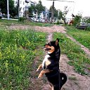 ���� ����, ������ - ��������� 9 ������� 2025 � ������ ������ ��������